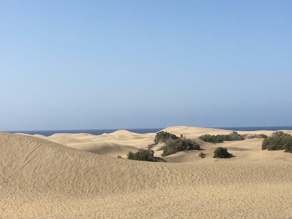 فيلا Townhouse El Mar بلايا ديل إنغلز المظهر الخارجي الصورة